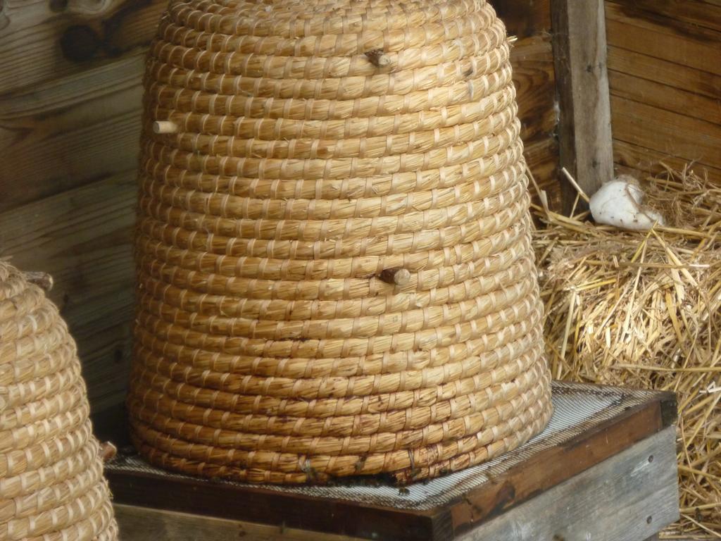 Chambre D'Hotes Au Fil De L'Eau Jumièges Dış mekan fotoğraf